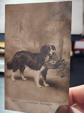 Antique 1907 RPPC Postcard PUPPY DOG CARRYING BASKET Birthday ROTOGRAPH picture