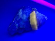 385g Fluorescent Apatite & Topaz combine with Albite Crystal Mineral Specimen picture