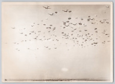 Real WWII Era Photograph US Army Paratroopers Jumping Out Of Planes 5x7 picture