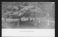 1900s Perkasie, Pennsylvania Perkasie Park Entrance  RAILROAD back 2 picture