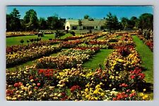 Newark NY-New York, Jackson & Perkins Rose Garden, Vintage c1960 Postcard picture