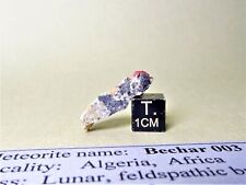 meteorite Bechar 003 Lunar Moon feldspat. brec. end piece 2,10 g in display case picture