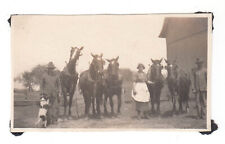 Vintage 1917 Farm Photo Men Woman Farmer Team Horses Mules Pet Dog Barn Snapshot picture