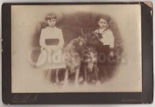 Brother Sister and Big Furry Dogs Large Antique Cabinet Photo Cleckheaton picture