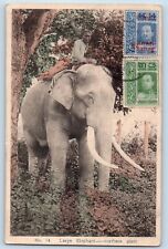 Bangkok Thailand Postcard Large Elephant Northern Siam c1910's Antique picture