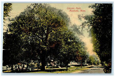 1910 Big Tree View Lincoln Park Mankato Minnesota MN Antique Posted Postcard picture