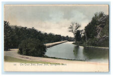 c1905s The Trout Pond Forest Park, Springfield, Massachusetts MA Postcard picture