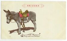 c1905 Arizona donkey with a really wicked name picture