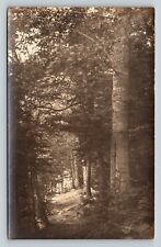 RPPC Into the Woods Beautiful Landscape VINTAGE Postcard AZO 1926-1940 picture