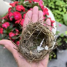 Genuine Natural-Real-Authentic SMALL-3” Ohio Birds Nest-Taxidermy-Twigs,Roots picture