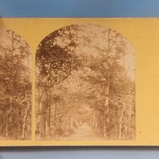 Stereoview Card 3D Real Photo C1870 Oxford Magdalen College Addisons Walk picture