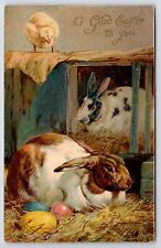 Ernest Nister Easter~Big Fat Rabbits By Colored Eggs~Chick on Hutch~1907 Artist picture