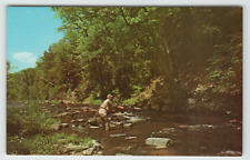 Postcard Fly Fishing Paradise Broadhead Stream Henryville Lodge Henryville, PA picture