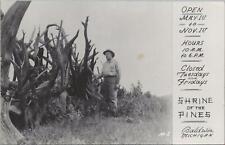 RPPC Postcard Shrine of the Pines Baldwin Michigan MI  picture