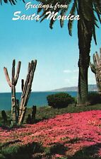 Postcard CA Santa Monica Palisades Park Cliffside Park Chrome Vintage PC H2368 picture