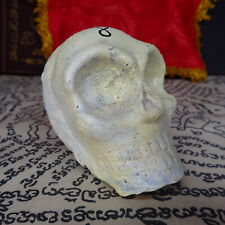 Skull Hong Prai Krasip Thai amulet / Holy Buddhism Talisman Collectible Charm picture