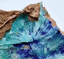 85g Extraordinary Rare Flower Aragonite & Azurite From Helmand,Afghanist picture