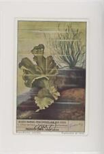 1950s Liebig Marine Algae Encountered on Our Coast French #1 z6d picture