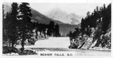 Beaver Falls, British Columbia, Canada, c1920s Old Photo picture