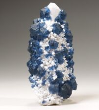 Indigo BLUE FLUORITE CRYSTALS ON Milky QUARTZ,Huangang Mine,INNER MONGOLIA,CHINA picture
