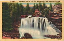 Backwater Falls 65 Feet High, West Virginia's Most Beautiful Waterfalls Postcard picture