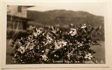 1930's Cooper Ranch Inn Hibiscus Hauula Oahu TH Hawaii AZO RPPC picture