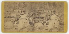 c1900's RARE Real Photo Stereoview Waterfall and Trees in Forest Catskills, NY picture