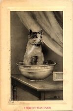 I WISH IT WAS OVER Bathing Patient Cat Kitten In Large Bowl Tub Postcard picture