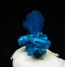Dark blue Cavansite bowtie cluster (non-precious natural mineral) #2309 picture
