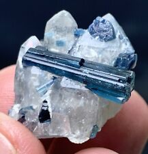 54 Carats Very Nice Dark Blue tourmaline Crystals  With Quartz From Afghanistan picture