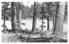 RPPC Woodland View On The Shores of Blue Lake California Real Photo Postcard picture
