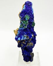 Natural Azurite with Malachite Crystal from Boulmane , Morocco. 22grams Mineral picture