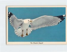 Postcard The Majestic Seagull picture