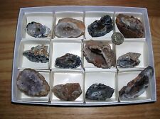 12 OCO Geodes  Polished Agate Geode Halves picture