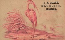 1880s-90s Bird Snail Fish in Water J.A. Blake Druggist Ipswich MA Trade Card picture