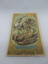 Antique The Great Atlantic & Pacific Tea CO Teas & Coffee Owl Family Trade Card picture