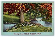 c1940's Greetings From Cedar Rapids Iowa IA Unposted River And Trees Postcard picture