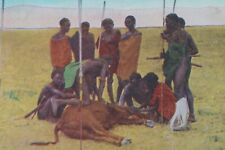 Africa Native Masai Cattle Cow Sacrifice 1910 Art Print Postcard picture