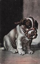 Artist E Caldwell Muzzled Puppy For the Safety of the Public Postcard c 1906 picture