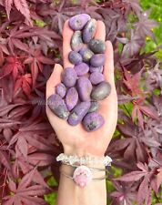 Bulk Lot 1 LB Natural Purple Purpurite  Crystal Tumbles, Polished Pocket Stones picture