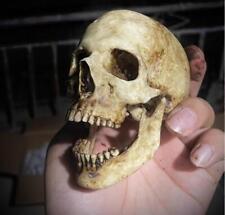 New Custom Highly Realistic SKULL Action Figure NEW picture