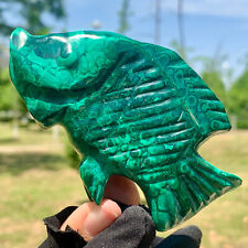 103G  Rare Natural Malachite quartz hand Carved fish Crystal Healing picture