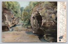 Scene In Deer Park Near Starved Rock Illinois 1907 Antique Postcard picture
