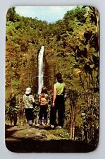 Hamakua Coast HI-Hawaii, Akaka Falls, Antique Vintage Souvenir Postcard picture