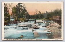 Postcard View Opposite Spruce Cabin Inn Canadensis Pennsylvania 1934 picture