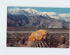 Postcard A Springtime Contrast on the Desert California USA North America picture
