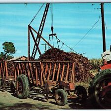 c1970s San German, Puerto Rico Sugar Cane Harvest Tractor Farm Crane Photo A145 picture