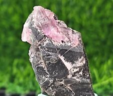 Natural Pink Tourmaline on Quartz Crystal (Heated) (CG 682) Daylight Photos picture