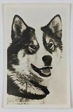 Alaskan Husky Dog Vintage RPPC Postcard 1950s Working Sled Dog Canine Companion picture