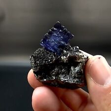 Aesthetic Deep Purple Fluorite On Sphalerite - Elmwood Mine, Tennesseee picture